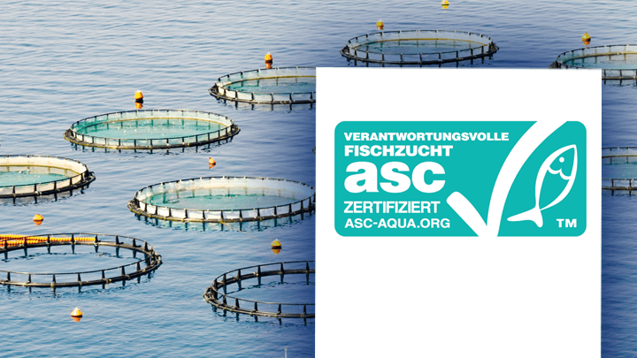 ASC Zertifizierung TÜV NORD Cert