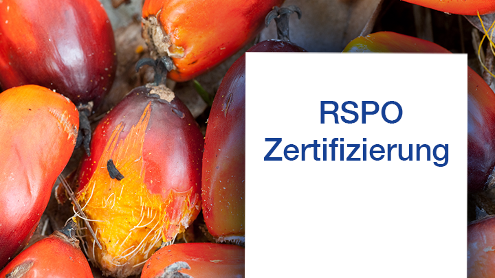 RSPO Zertifizierung