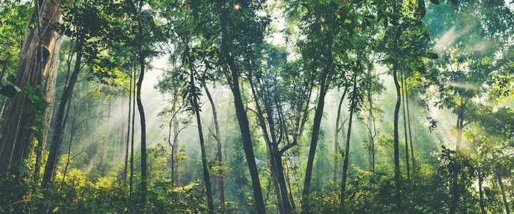 Nachhaltigkeit und Klimaschutz