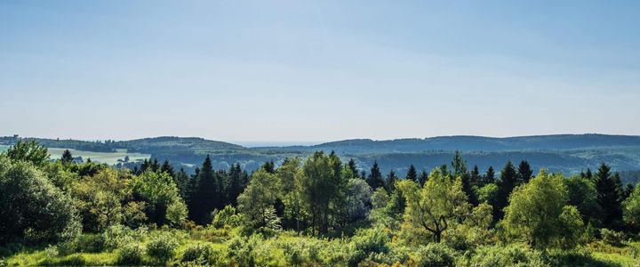 Weiterbildung in Bissendorf