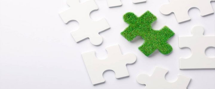 Nachhaltigkeit in Unternehmen – wer ist verantwortlich?