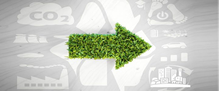 Was ist ein Umweltmanagementsystem: Definition und Tipps für Unternehmen